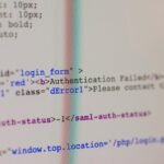 professional web solution service