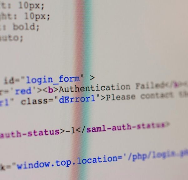 professional web solution service