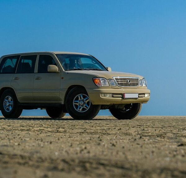 reliable digital stability platform