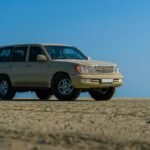 stable digital platform solution